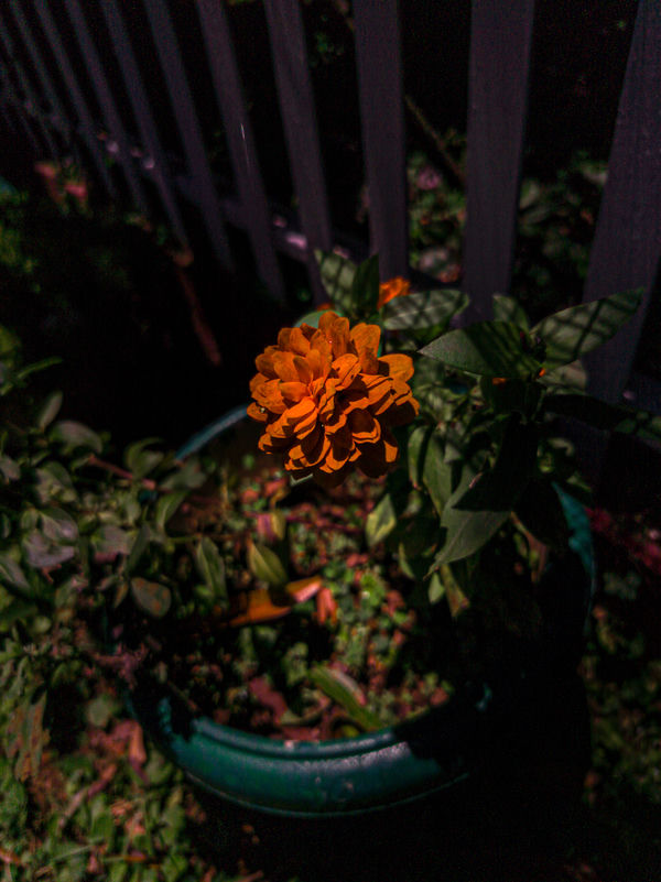 20260807_113937_Pixel_Vision.jpg