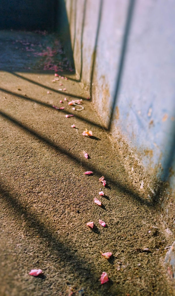InShot_20221122_110754587-01.jpeg
